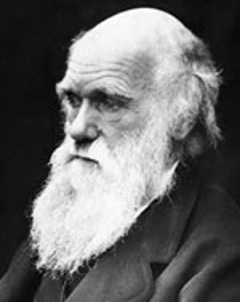 Darwin