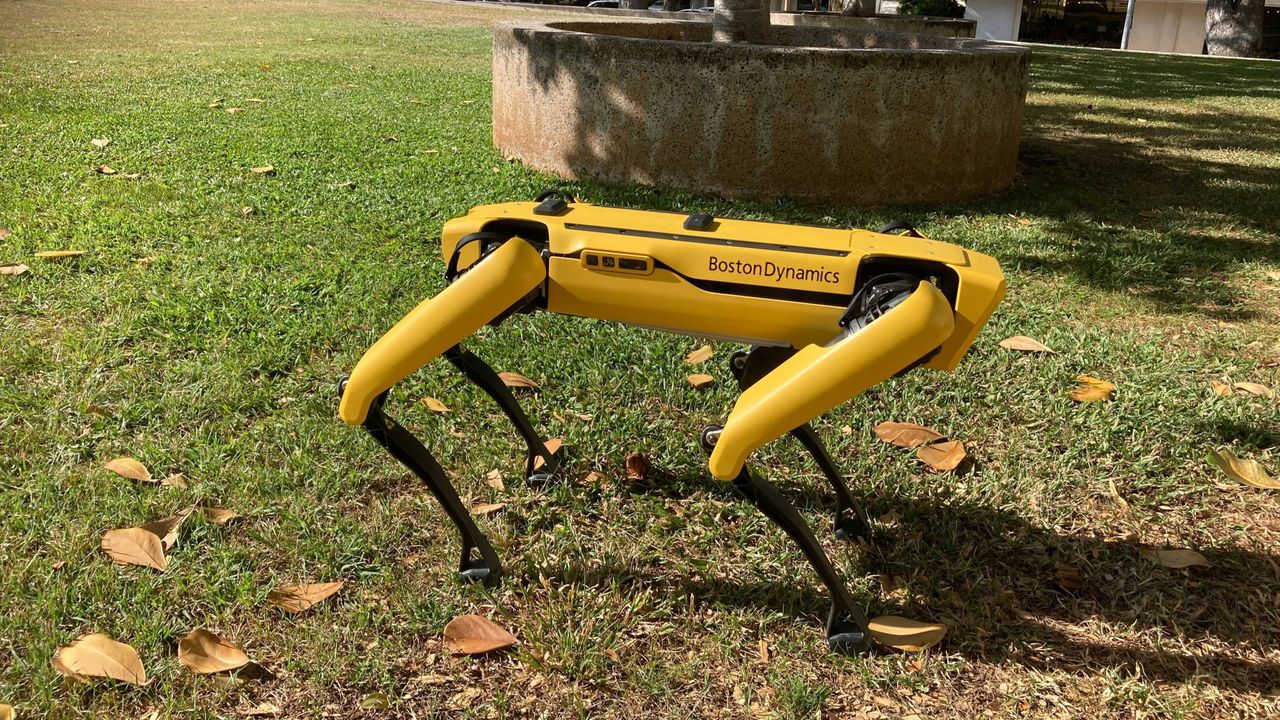 wsws.org - ICE plans to spend up to $2 million on robot dogs for immigration raids
