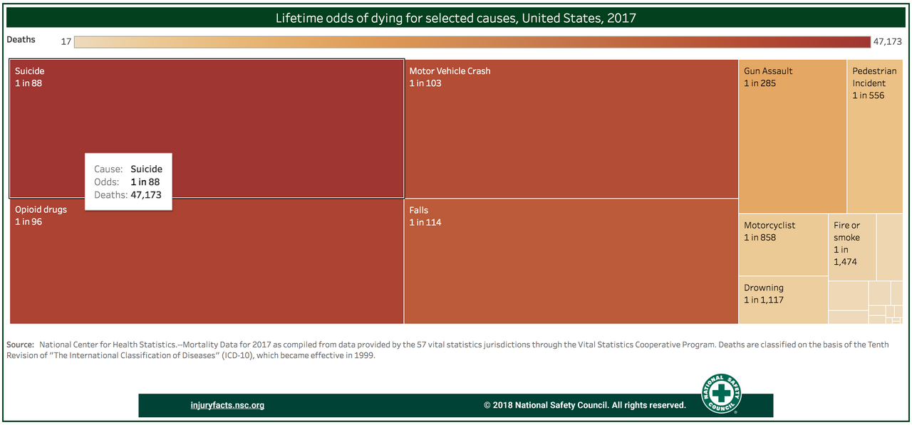 Lifetime Odds of Dying from Selected Causes. Source: National Safety Council