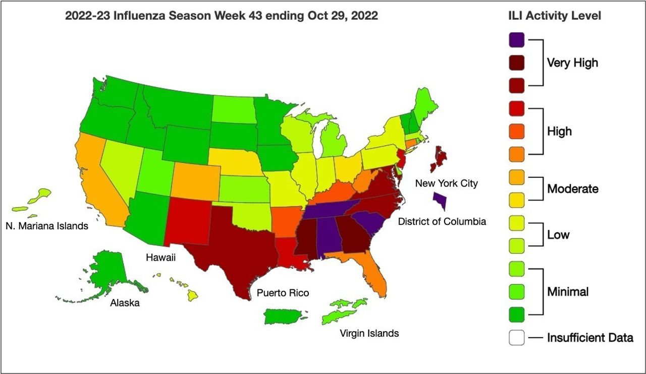 US health officials are declaring the 20222023 flu season an epidemic