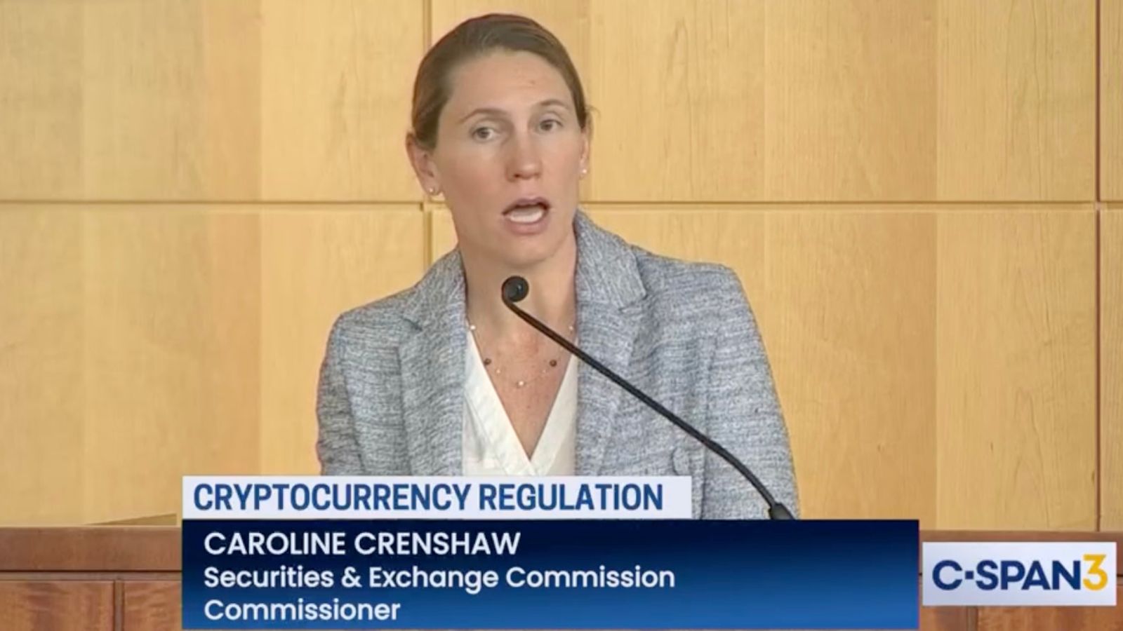 Departing SEC official warns of coming “winter” for US capital markets -  World Socialist Web Site