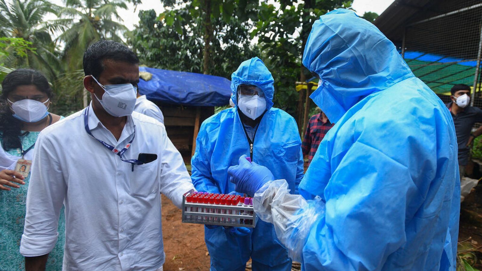 Ausbruch des Nipah-Virus in Kerala, Indien, nach 6 Infektionen eingedämmt