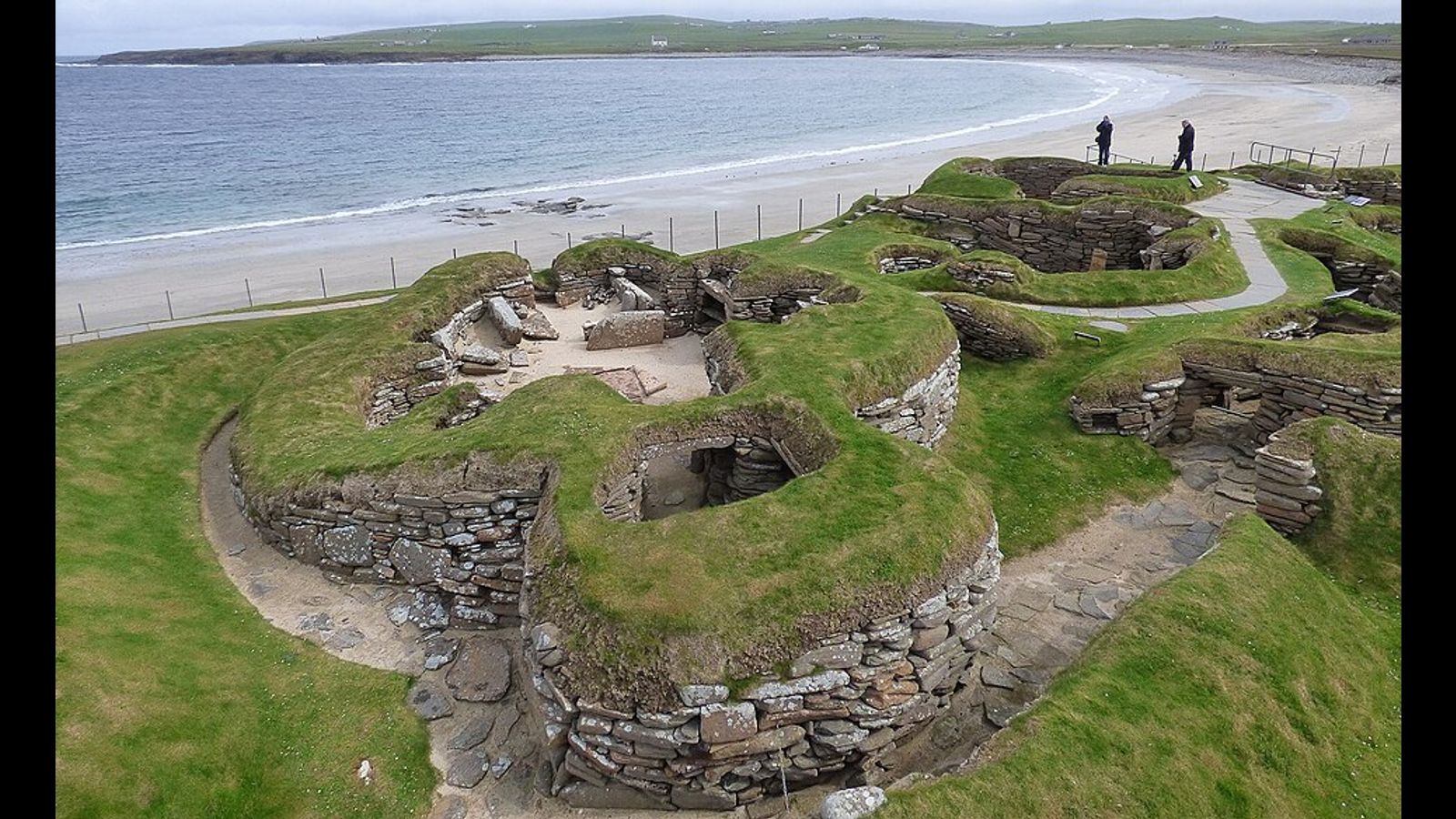 Genetic evidence suggests that human evolution accelerated with the development of agriculture