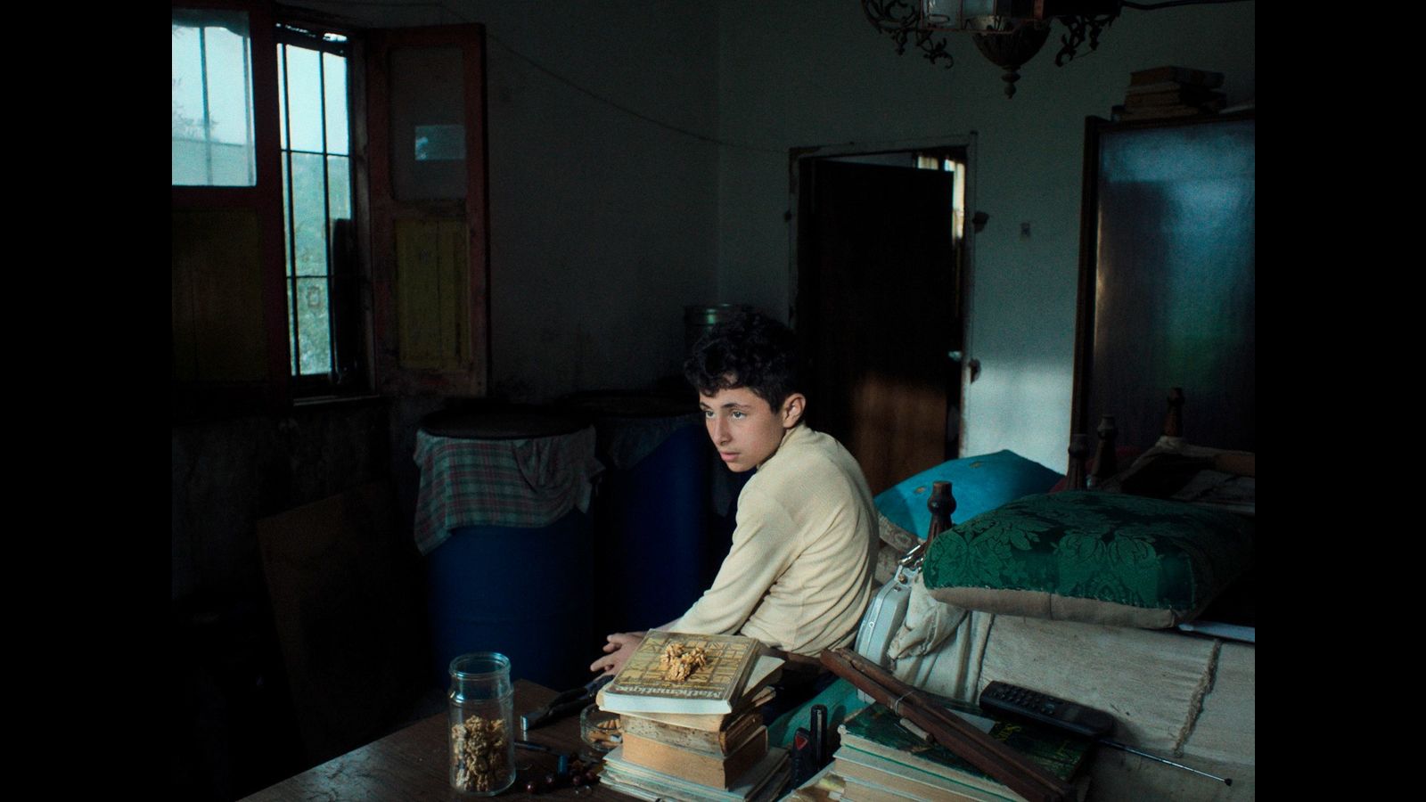 Berlinale short films: A search for social cohesion and direction in a world full of war and disasters