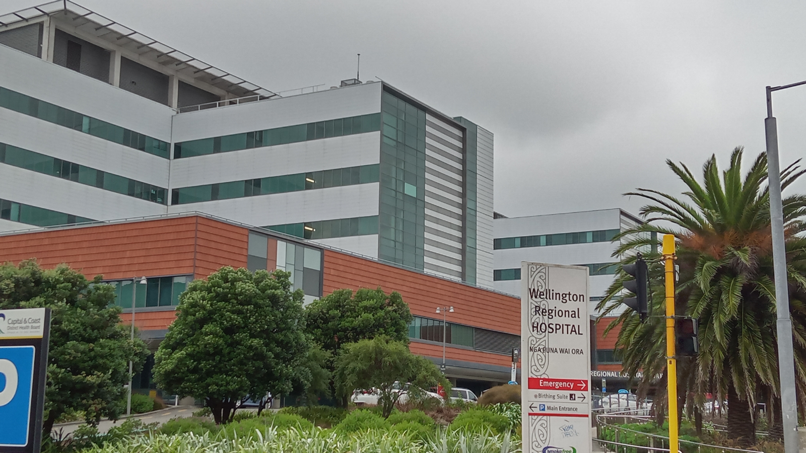 New Zealand public health system in deepening crisis