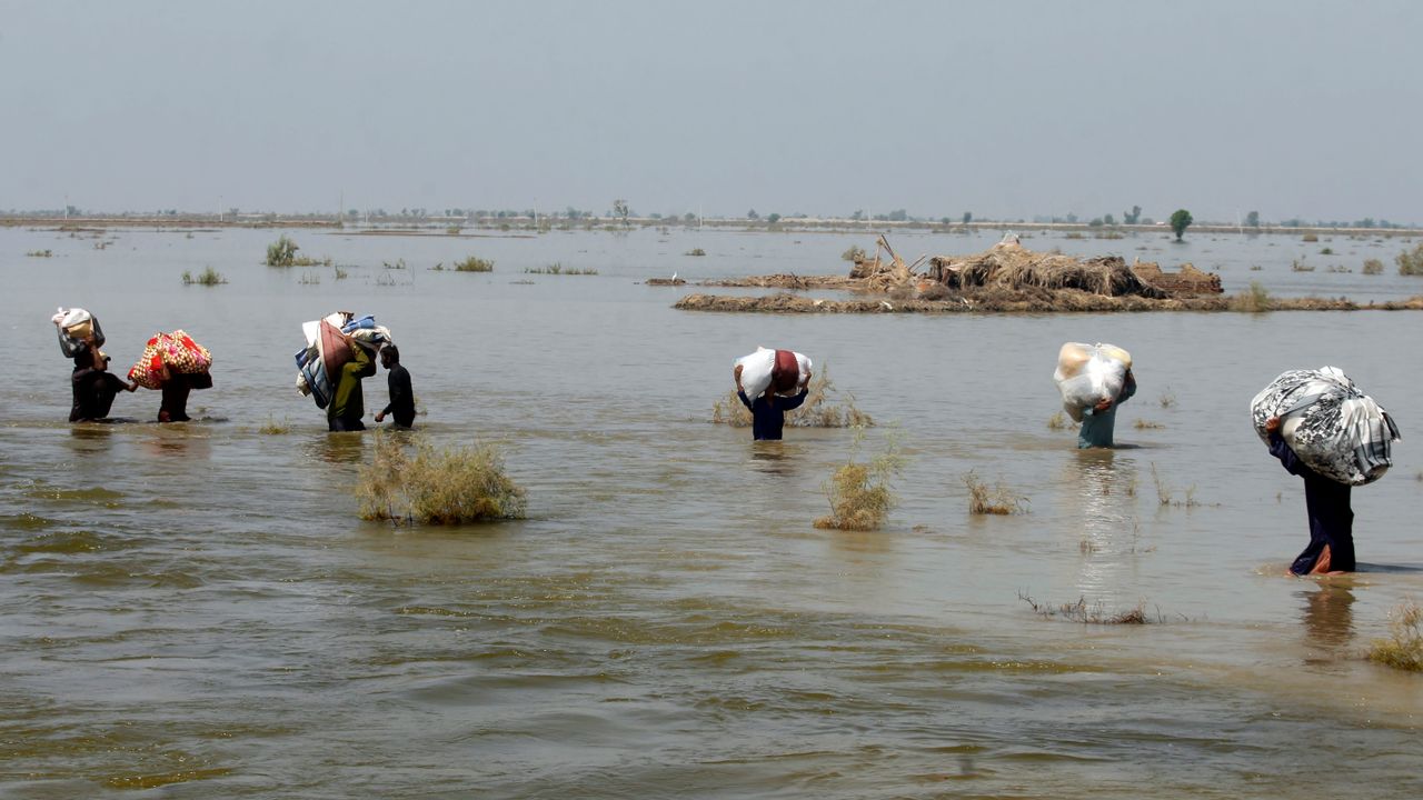 Climate change-linked floods, hunger, disease and IMF austerity devastate Pakistan's workers and poor - WSWS