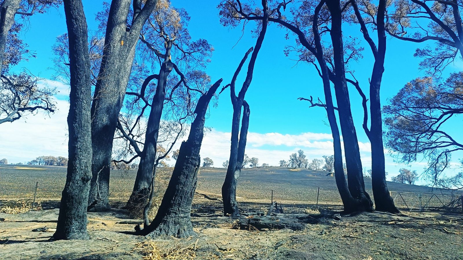 Anger in Australia’s fire zones as government underfunding and negligence exposed