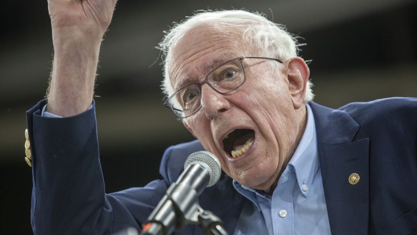 Bernie-Sanders-bei-No-Kings-Protest-in-Washington-Deckmantel-f-r-die-Demokraten-und-den-Kapitalismus