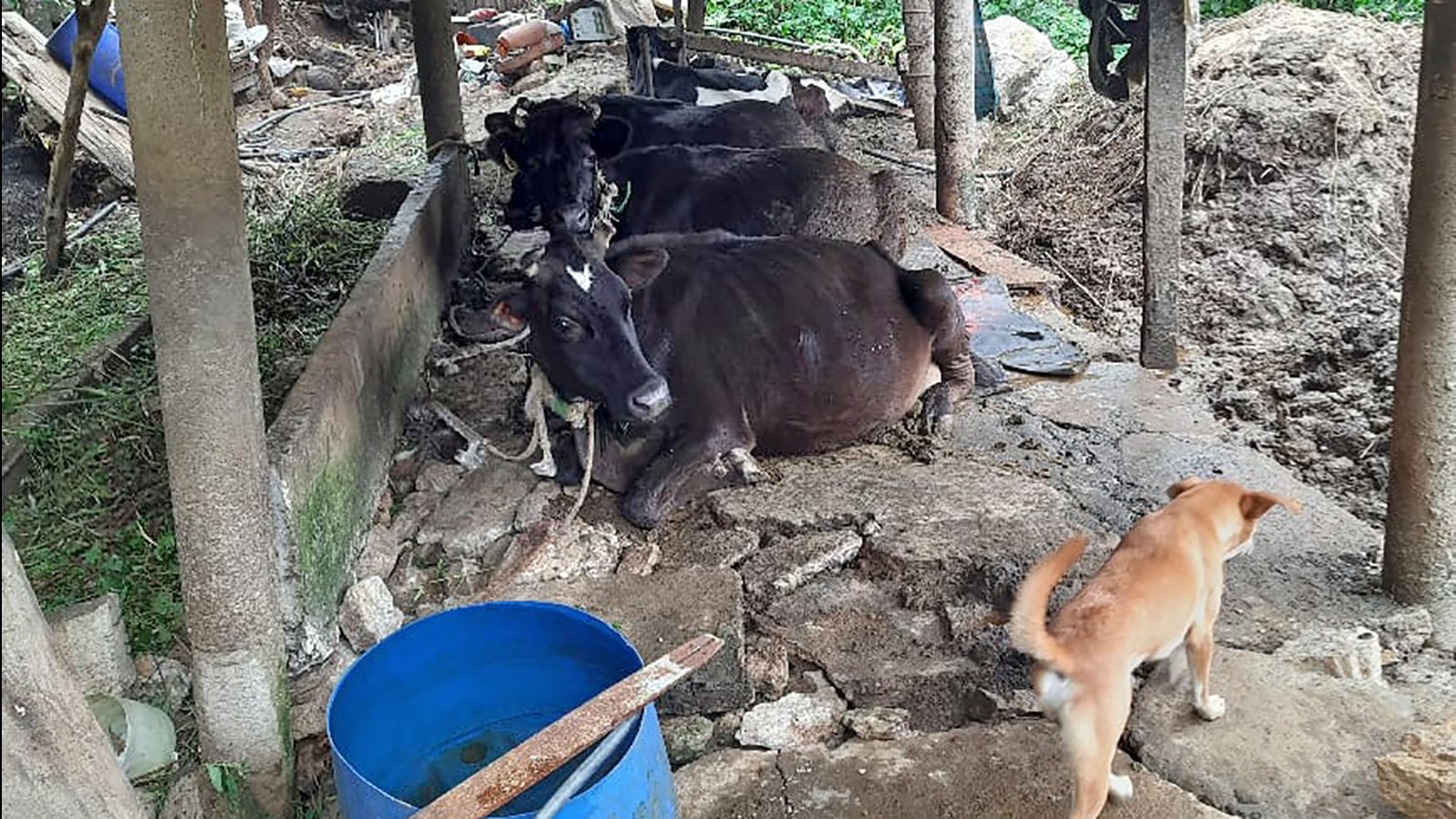 “We were in a death trap”: Cyclone victims in central Sri Lanka speak out