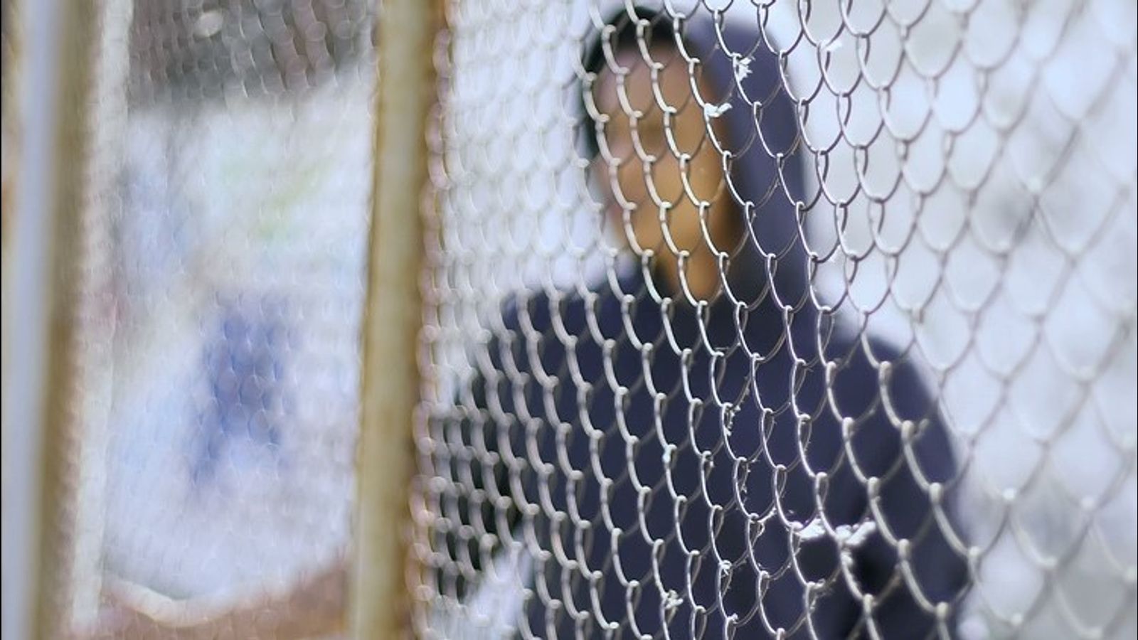 Australian state Labor government to impose life sentences on children as young as 14