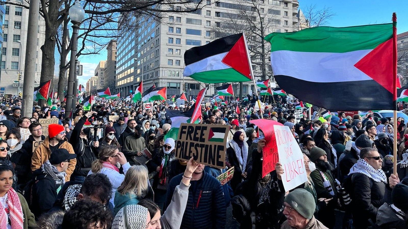 ワシントンDCで米国支援のガザ虐殺に対する10万人以上の抗議活動
