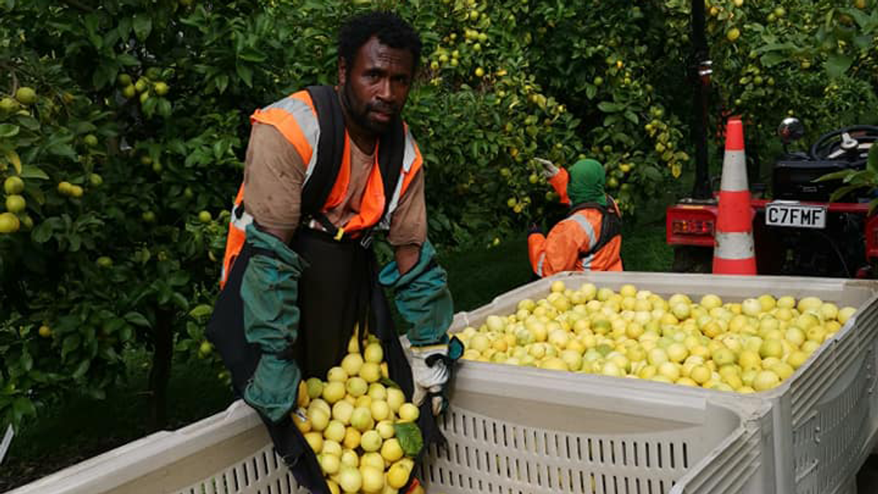 wsws.org - Migrant workers face harsh conditions on Australian farms