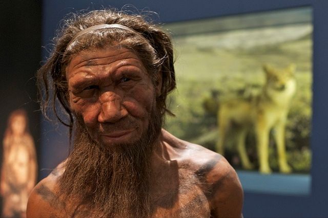 One million years of the human story in Britain - World Socialist Web Site