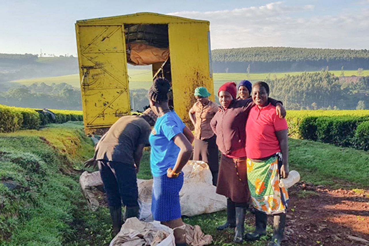 How Giant Tea Companies Exploit Kenyan Plantation Workers World