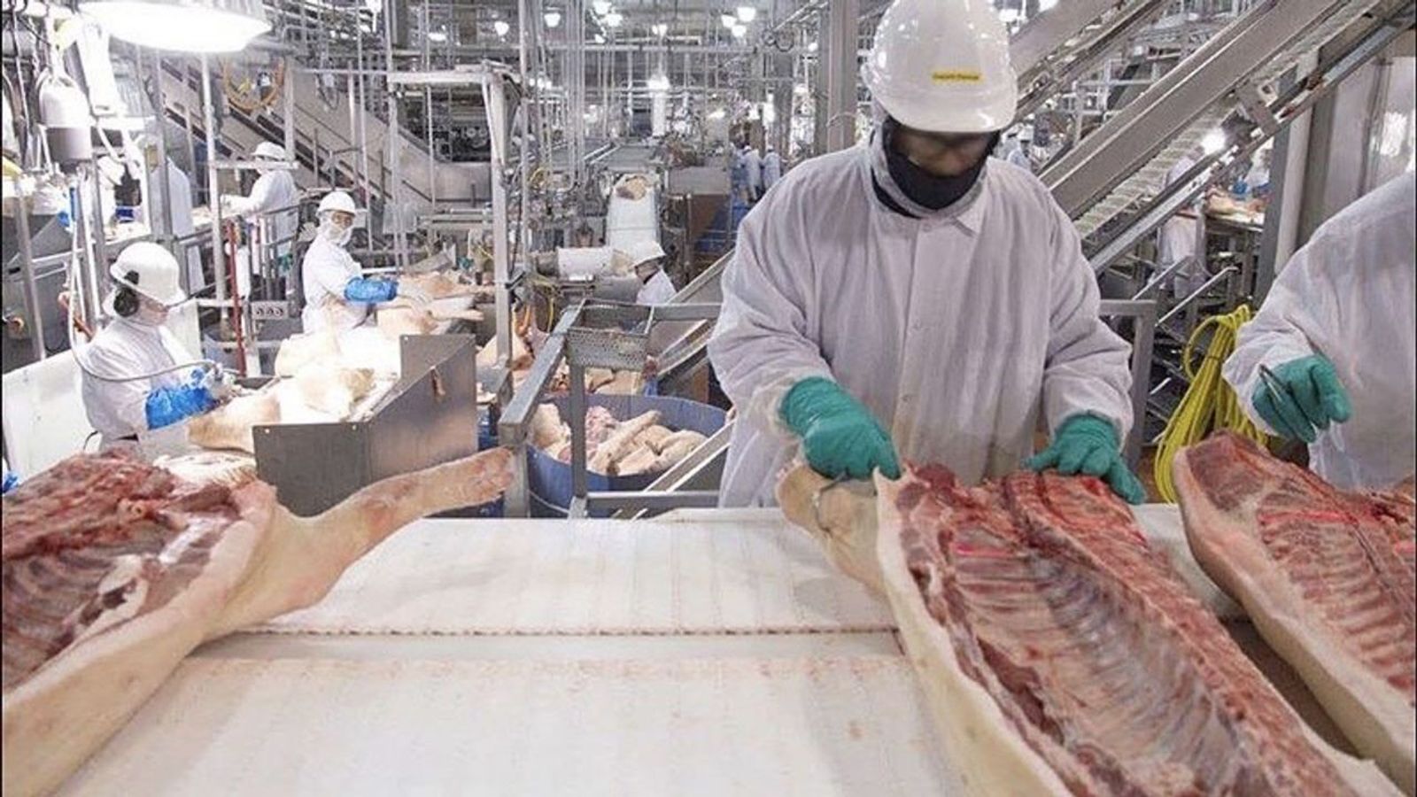 Wisconsin immigrant meat packing workers fired in retaliation for