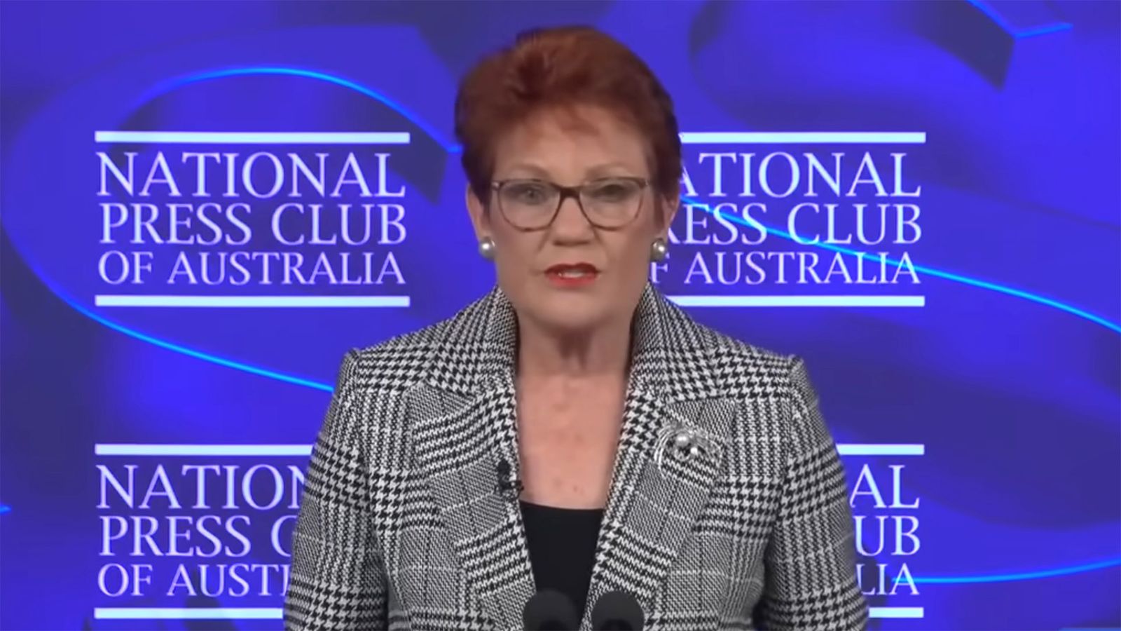 One Nation leader delivers racist, pro-business rant at Australian press club