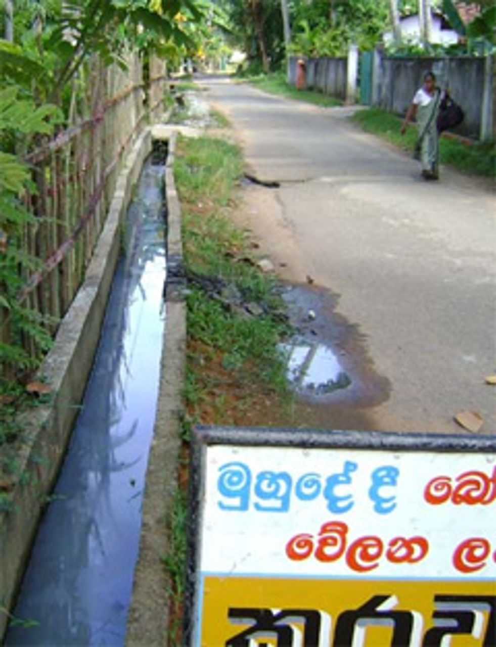 Blocked drain in Peraliya