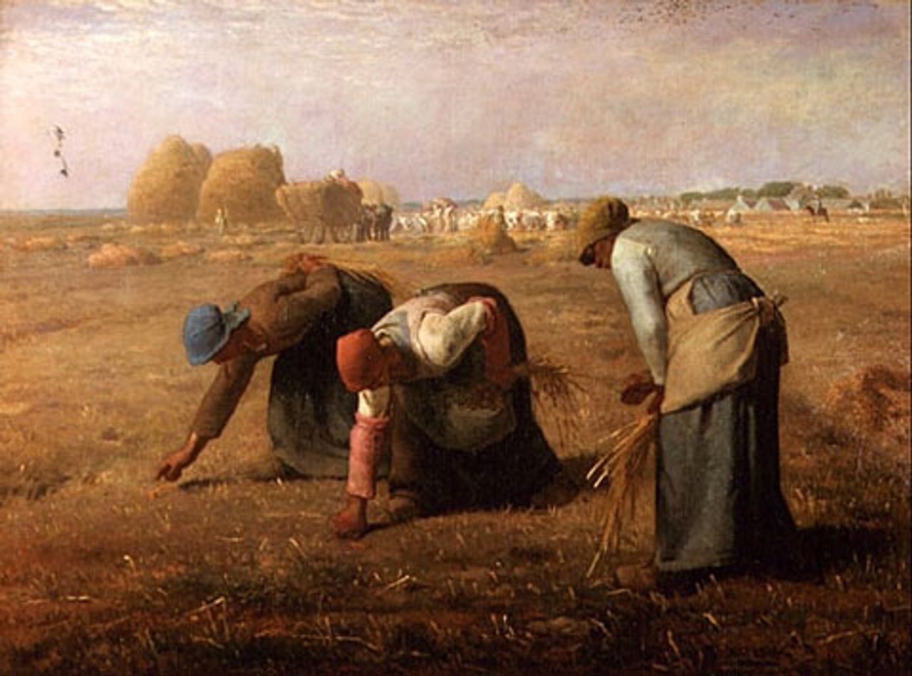The Gleaners by Millet